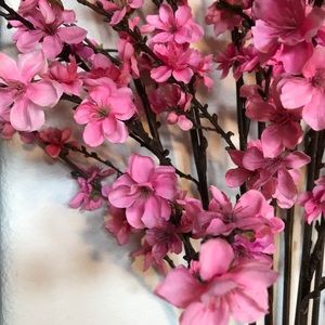 Meet your Posher, Marianna